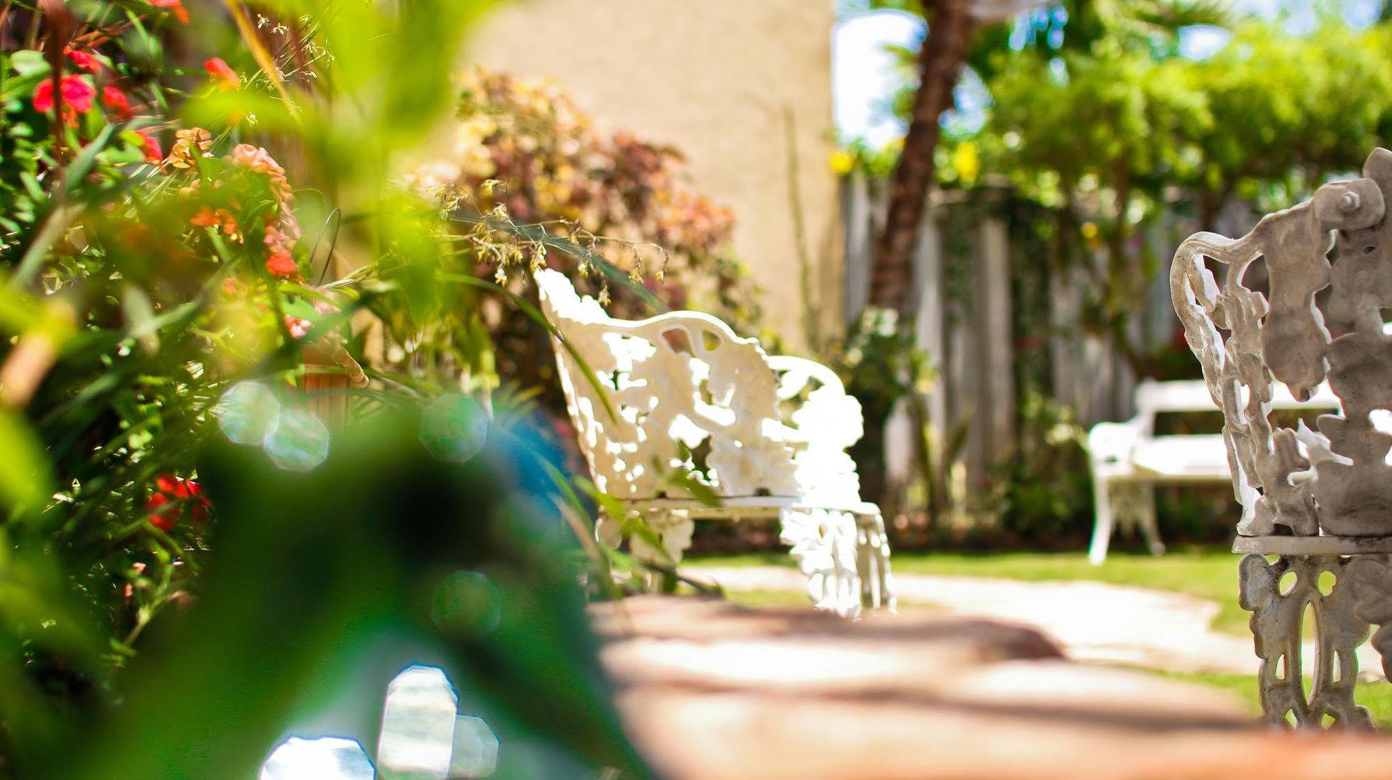 Cattleya Luxury Suites Kingston Extérieur photo