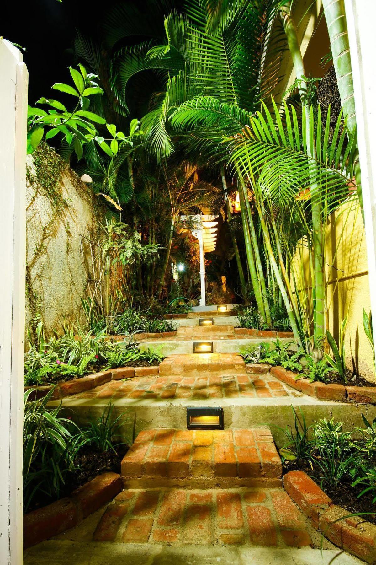 Cattleya Luxury Suites Kingston Extérieur photo