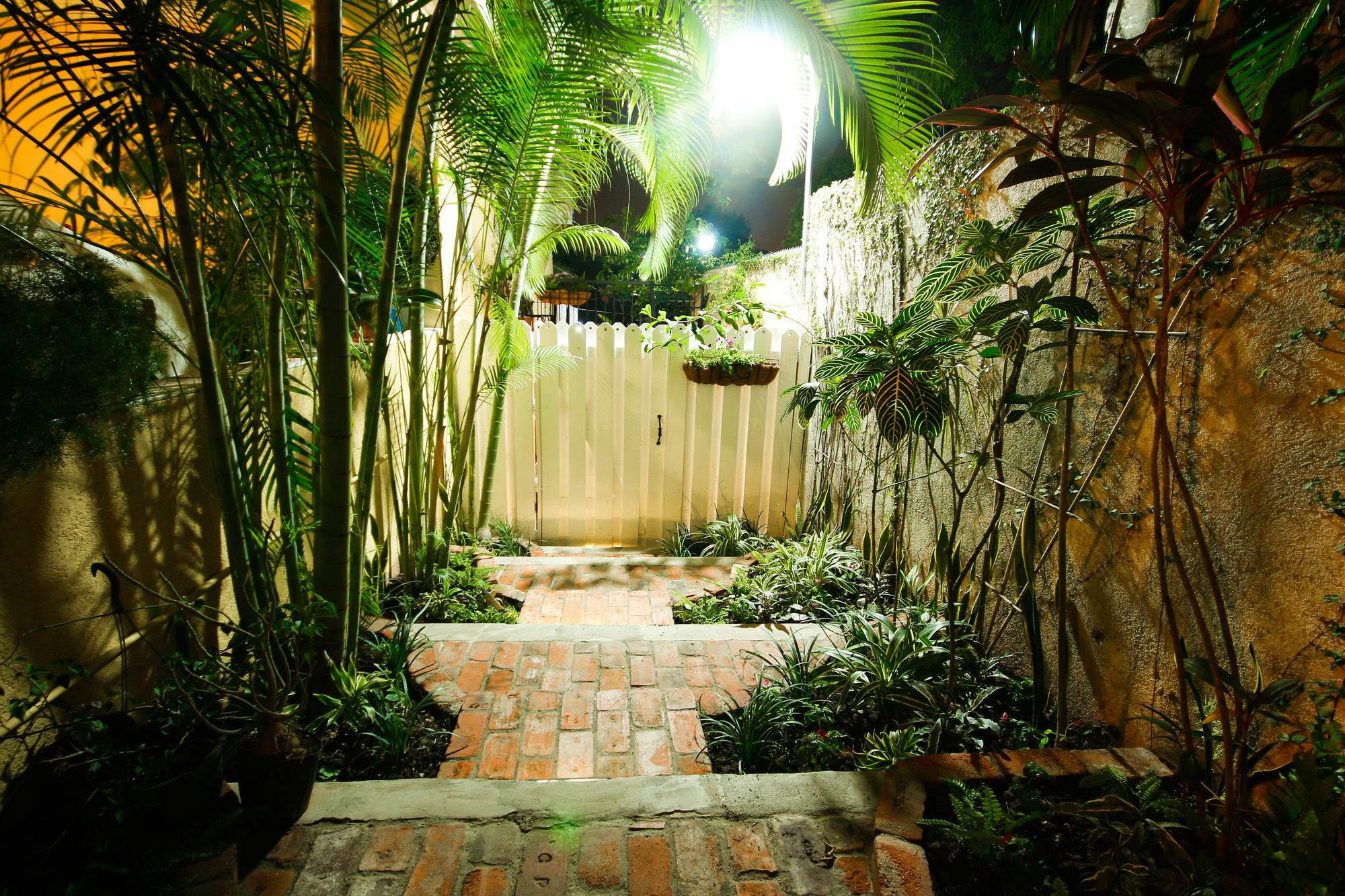 Cattleya Luxury Suites Kingston Extérieur photo