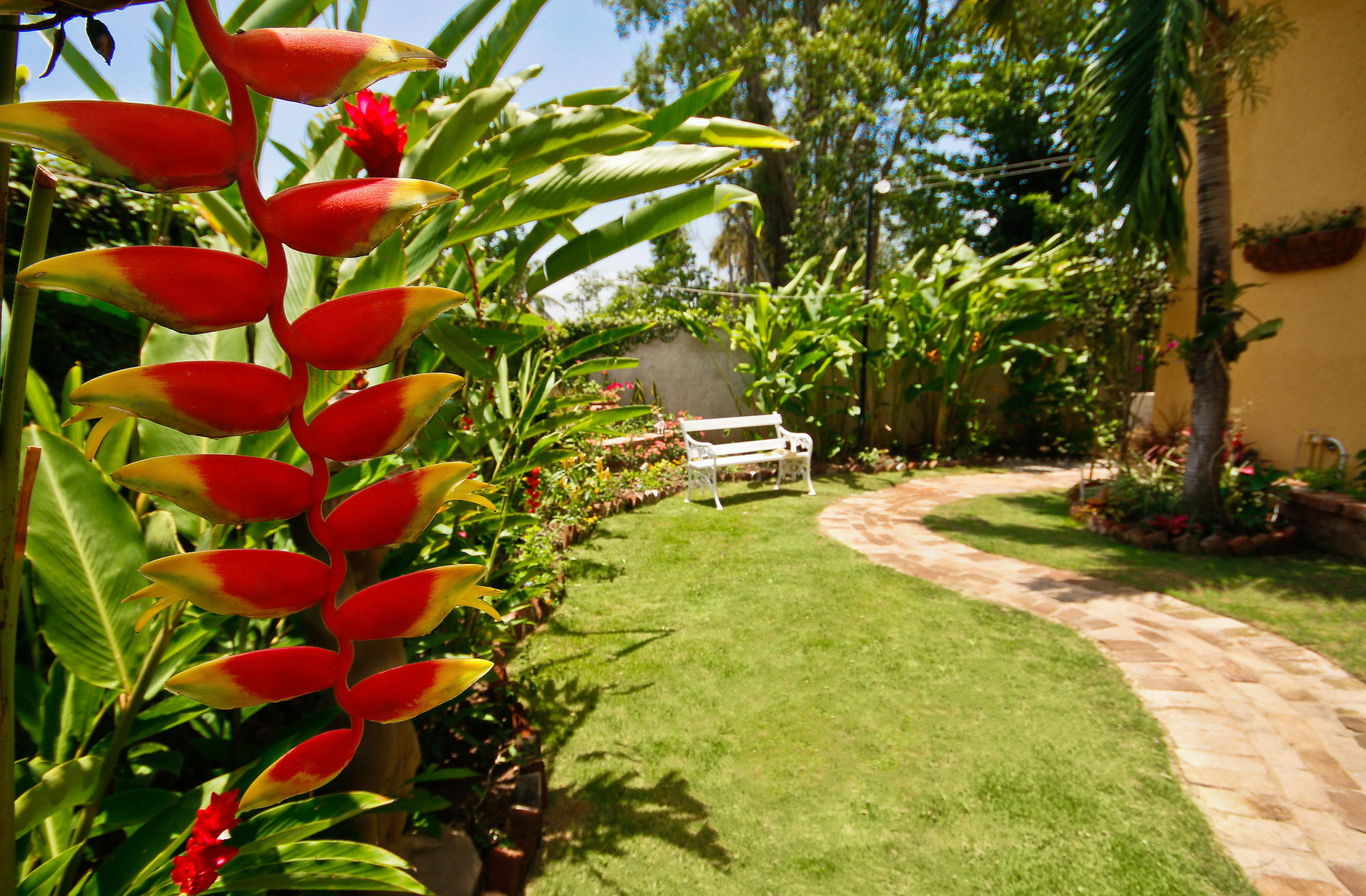 Cattleya Luxury Suites Kingston Extérieur photo